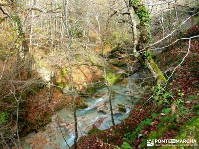 Parques Naturales Urbasa-Andía y Aralar - Nacedero del Urederra; viaje cultural españa